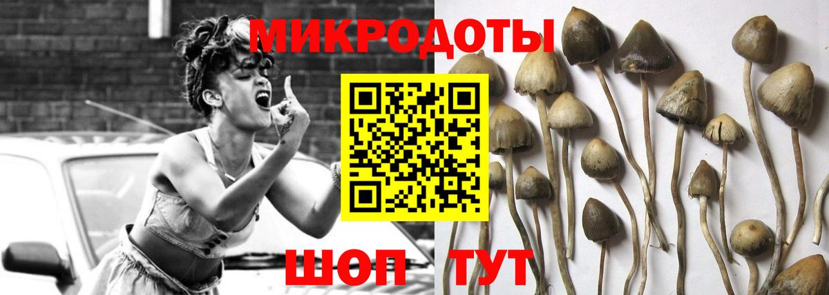 Галлюциногенные грибы мицелий  Вход с VPN  Псилоцибиновые грибы прущие грибы  Сарапул 